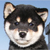 Profile picture small