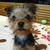Profile picture small
