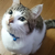 Profile picture small