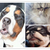 Profile picture small