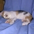 Profile picture small
