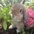 Profile picture small