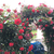 Profile picture small