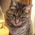 Profile picture small