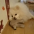Profile picture small