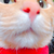 Profile picture small