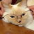 Profile picture small