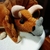 Profile picture small