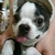 Profile picture small