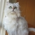Profile picture small