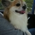 Profile picture small