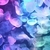 Profile picture small