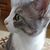 Profile picture small