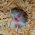 Profile picture small