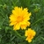 Profile picture small