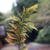 Profile picture small