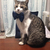 Profile picture small