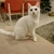 Profile picture small