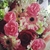 Profile picture small