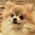 Profile picture small