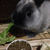 Profile picture small