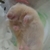 Profile picture small