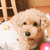 Profile picture small
