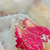Profile picture small