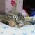 Profile picture small