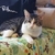 Profile picture small