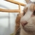 Profile picture small