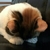 Profile picture small