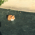 Profile picture small