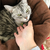 Profile picture small