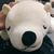 Profile picture small