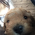 Profile picture small