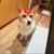 Profile picture small