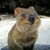 Profile picture small
