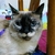 Profile picture small