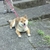 Profile picture small