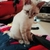 Profile picture small