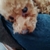 Profile picture small