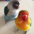 Profile picture small