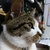 Profile picture small