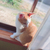 Profile picture small