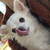 Profile picture small