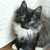 Profile picture small