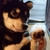 Profile picture small