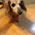 Profile picture small