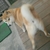 ほり